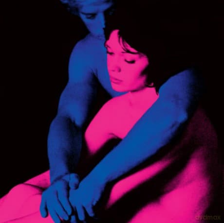 Tv Girl: Who Really Cares