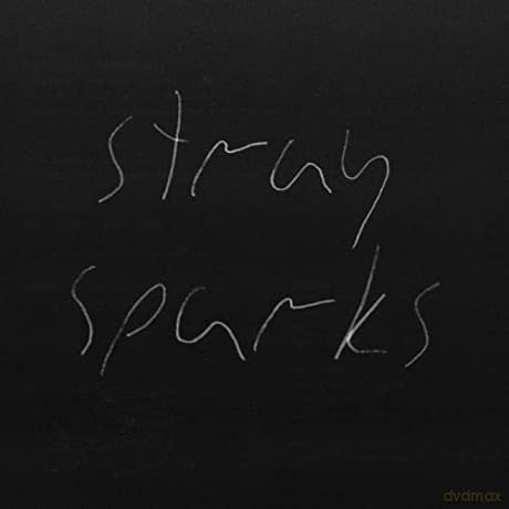 Goodbye Party: Stray Sparks