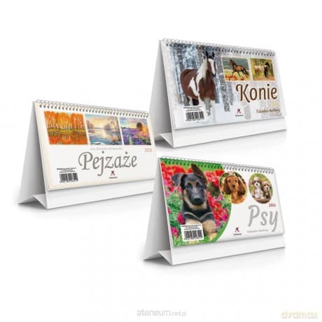 Kalendarz 2026 biurkowy stojący 19,5x11 cm MIX