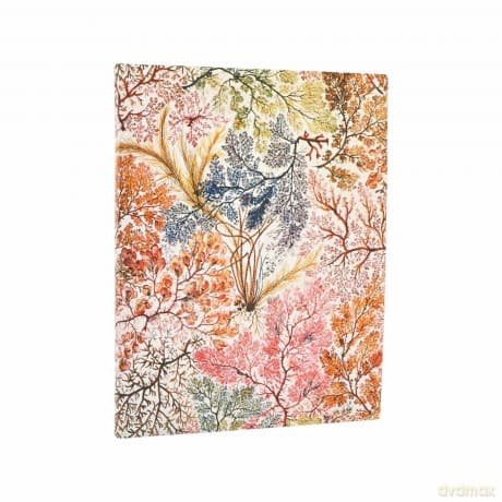 Kalendarz 2026 Anemone tygodniowy BUS Ultra