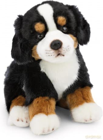 NICI przytulanka Berneński Pies Pasterski 20cm