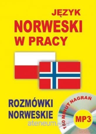 Język Norweski w pracy- rozmówki norweskie