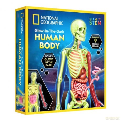 National Geographic - Human Body Science Kit (29-2454)
