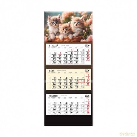 Kalendarz 2026 trójdzielny LUX SB6-9 Koty