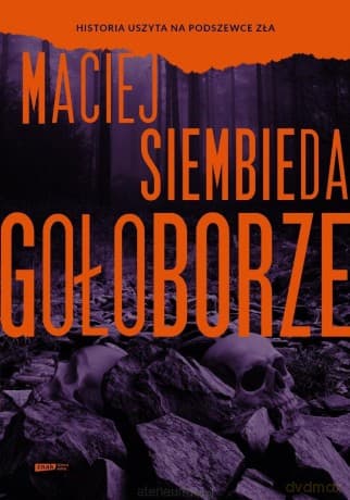 Gołoborze - Maciej Siembieda