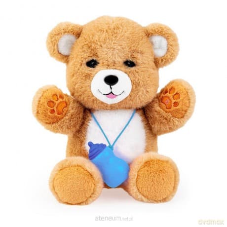 Niedźwiadek brunatny