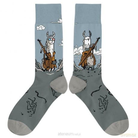 Skarpetki - Wiedźlam na skale rozm. 42/46