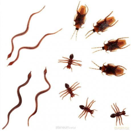 Robaki rekwizyt halloweenowy 6szt