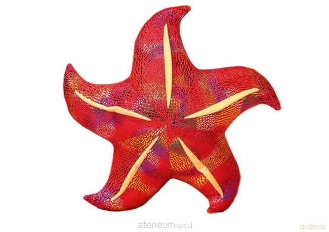 Poduszka pluszowa rozwgwiazda czerwona 45cm