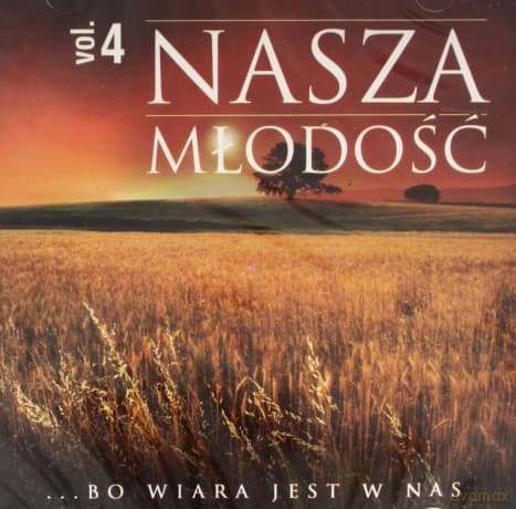 Nasza młodość vol. 4