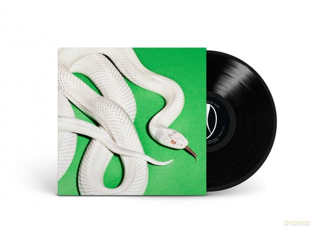 Deftones: private music