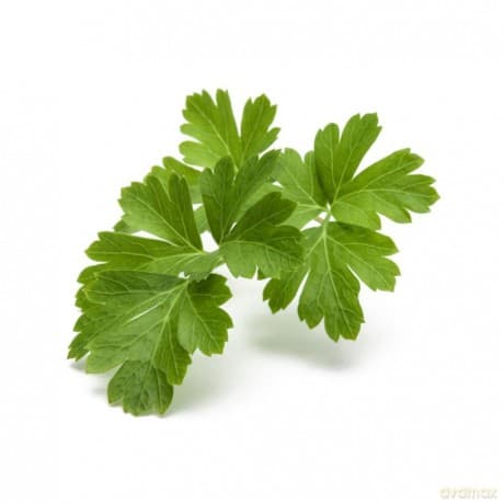 Click and Grow - Smart Garden Refill 3-pack - Parsley (SGR13X3)