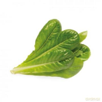 Click and Grow - Smart Garden Refill 3-pack - Romaine Lettuce (SGR50X3)