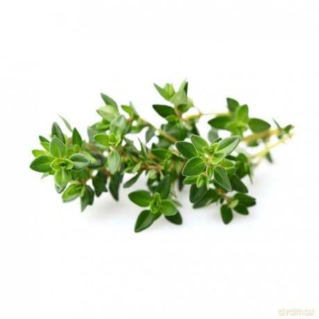 Click and Grow - Smart Garden Refill 3-pack - Thyme (SGR17X3)