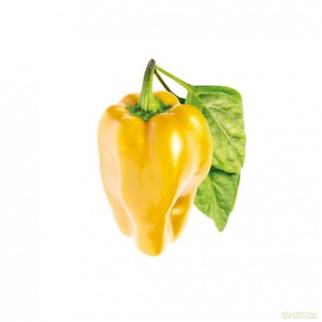 Click and Grow - Smart Garden Refill 3-pack - Yellow Sweet Peppers (SGR53X3)