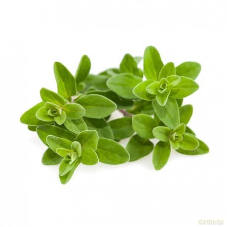 Click and Grow - Smart Garden Refill 3-pack Marjoram