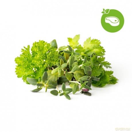 Click and Grow - Smart Garden Refill 9-pack Grill & Steak Mix