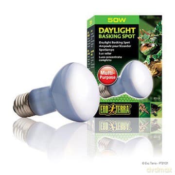 EXOTERRA - Daylight Basking Spot 50W R20 E27 Green - (220.2710)