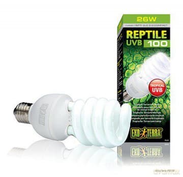 EXOTERRA - Reptile Uvb 100 Fluorescent lamp 25W E27 - (220.1871)