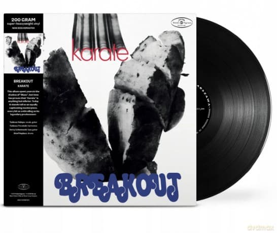 Breakout: Karate (200g)