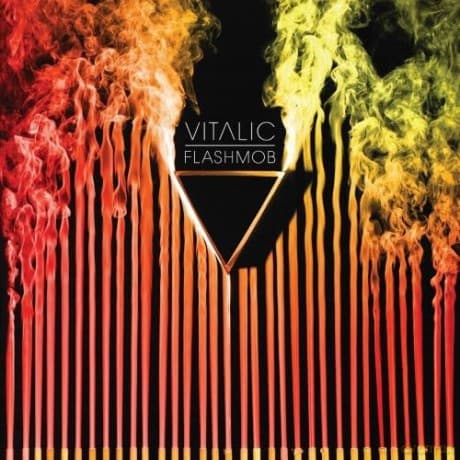 Vitalic: Flashmob