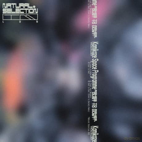 Kamikaze Space Programme: Ashes To Ashes Dust To Dust Ep