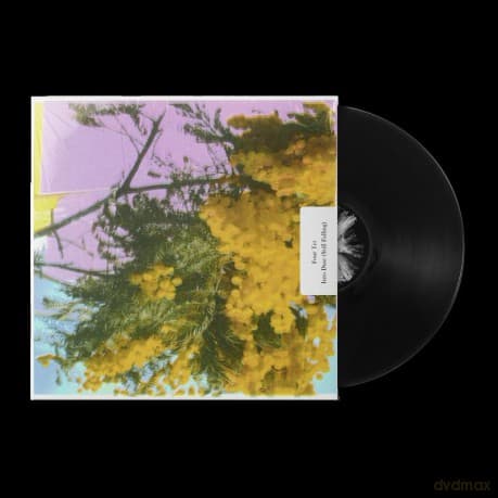 Four Tet: Into Dust - Still Falling