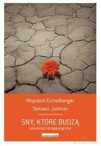 Sny, które budzą. Opowieści terapeutyczne (Wyd. 2014) - Eichelberger Wojciech, Jastrun Tomasz