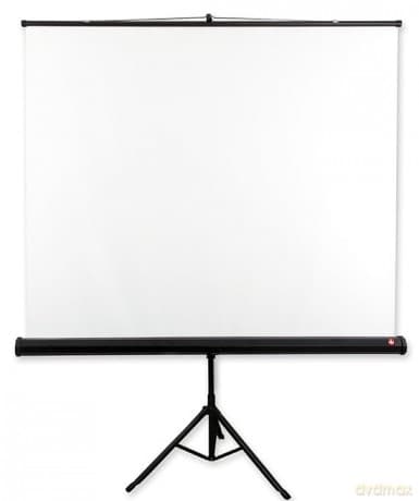 Ekran na statywie TRIPOD STANDARD 200 (1:1, 200x200cm, powierzchnia biała, matowa)