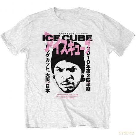 Ice Cube: Unisex T-Shirt: Beanie Kanji (White) (Back Print) (Small)