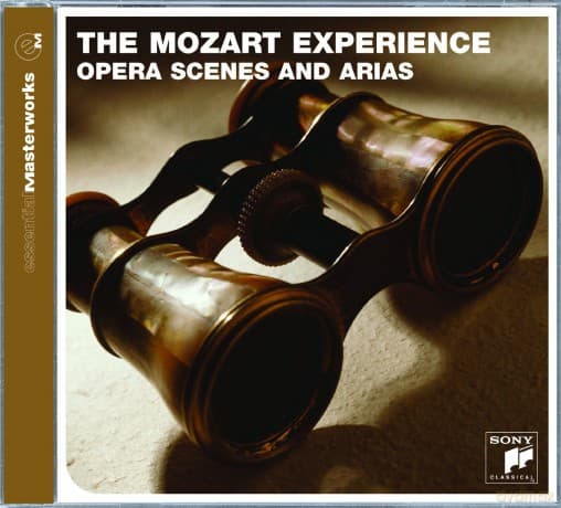 Nicolas McGegan: The Mozart Experience