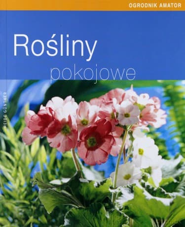 Rośliny pokojowe