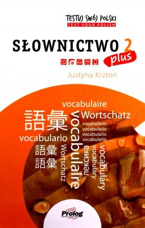 TESTUJ SWÓJ POLSKI PLUS - Słownictwo 2 pakiet