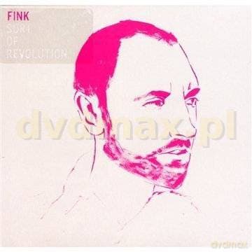 Fink: Sort Of Revolution
