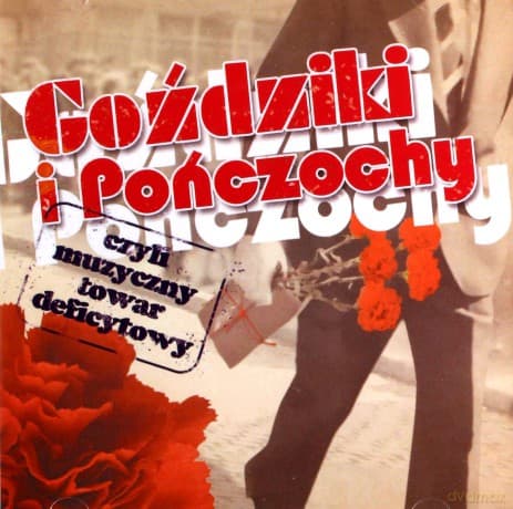 Goździki I Pończochy