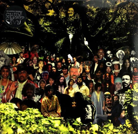 Devendra Banhart: Cripple Crow