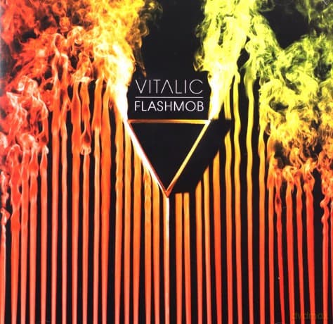 Vitalic: Flashmob