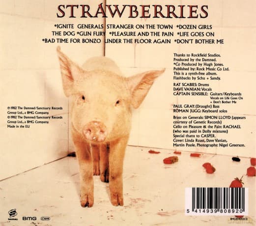 The Damned: Strawberries