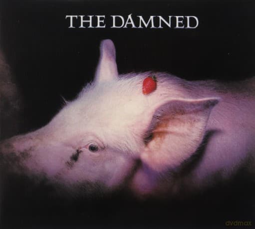 The Damned: Strawberries