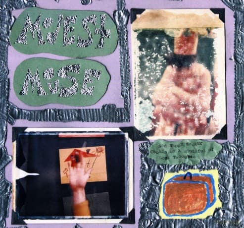 Modest Mouse: Sad Sappy Sucker