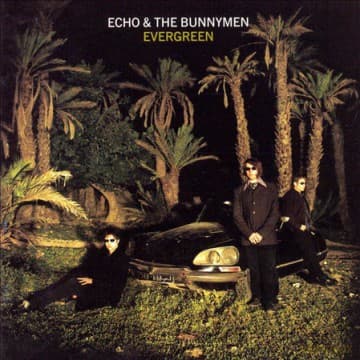 Echo & The Bunnymen: Evergreen