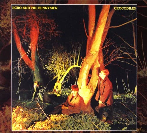 Echo & The Bunnymen: Crocodiles