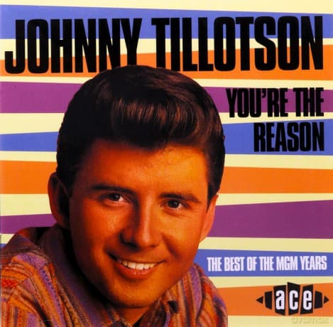 Tillotson Johnny: You Re The Reason - Best Of The Mgm Years