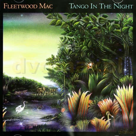 Fleetwood Mac: Tango In The Night