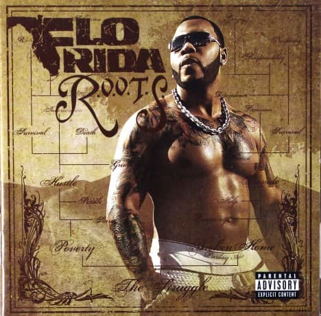 Flo Rida: R.O.O.T.S. (Route Of Overcoming