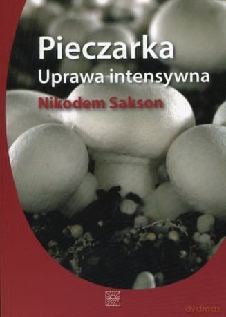 Pieczarka. Uprawa intensywna