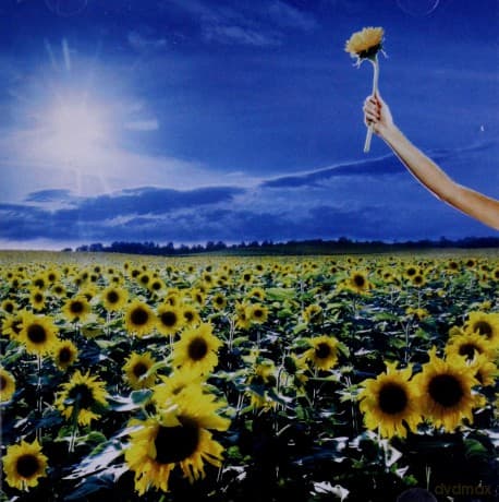 Stone Temple Pilots: Thank You!-The Best Of