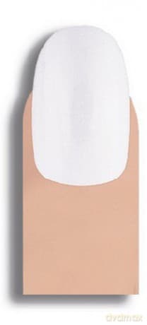 Donegal Sztuczne paznokcie 20 szt.