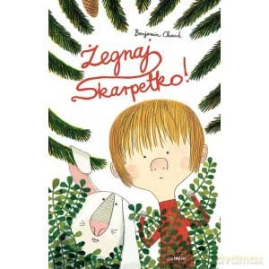 Żegnaj skarpetko - Benjamin Chaud (twarda)