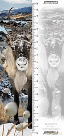 Zakładka 3D Renifer